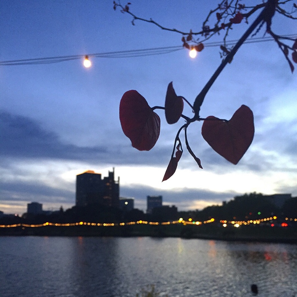 Meet your Posher, Ella